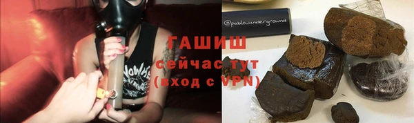 ешки Алексин